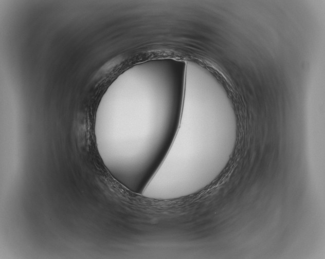 X0000108481111200904031114