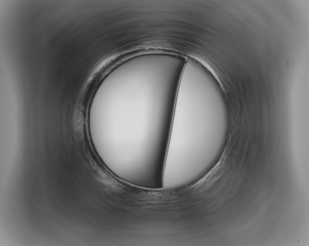 X0000108481115200904031114