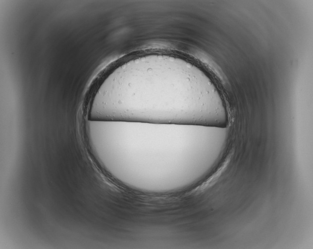 X0000108481117200904031114