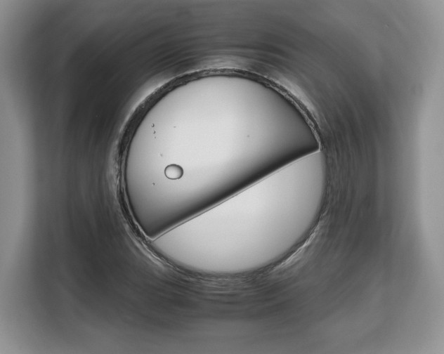 X0000108481119200904031114