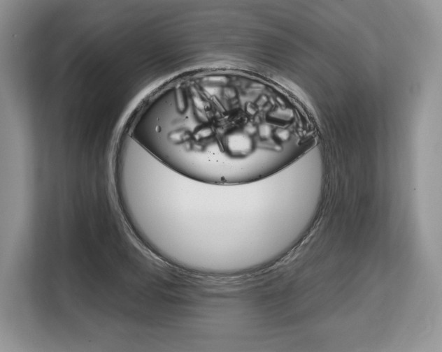 X0000108481120200904031114