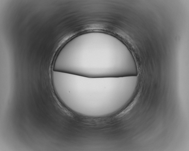 X0000108481121200904031114