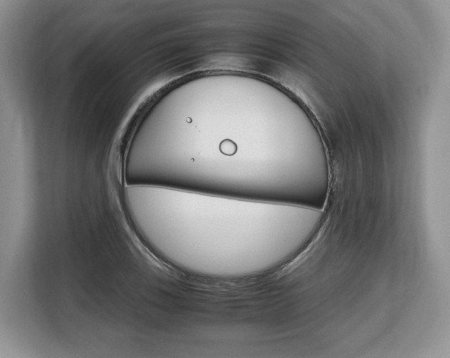 X0000108481123200904031114