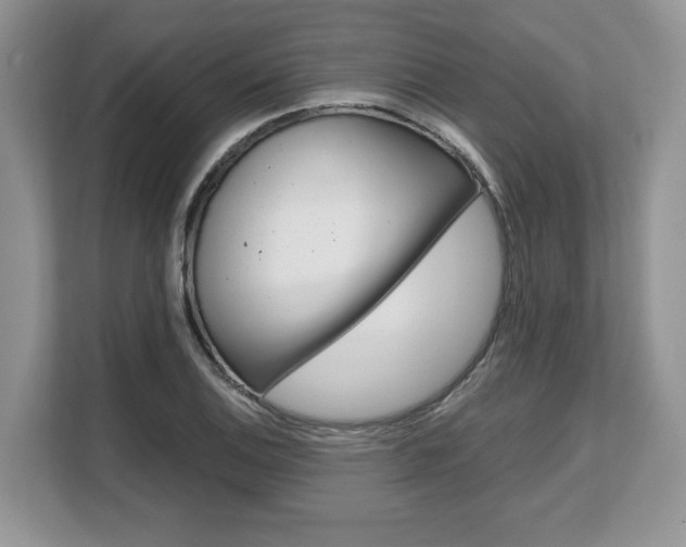 X0000108481124200904031114