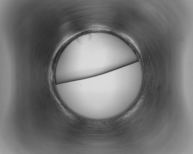 X0000108481125200904031114