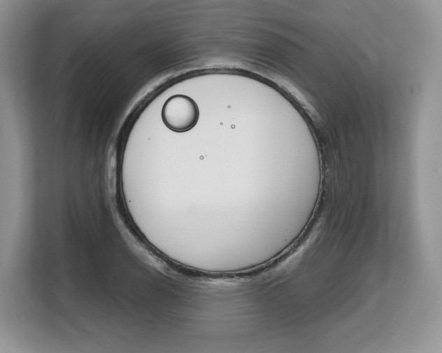 X0000108481126200904031114