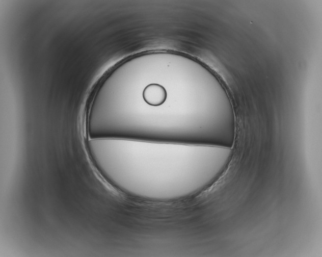 X0000108481127200904031114
