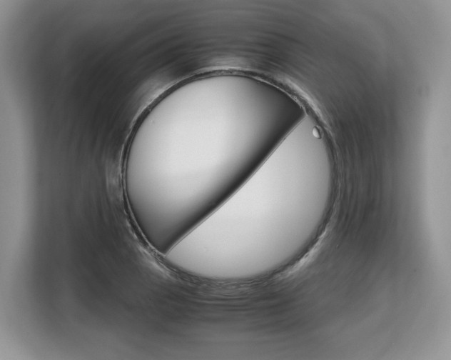 X0000108481129200904031114