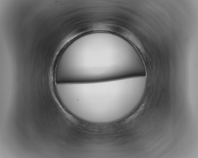 X0000108481133200904031114