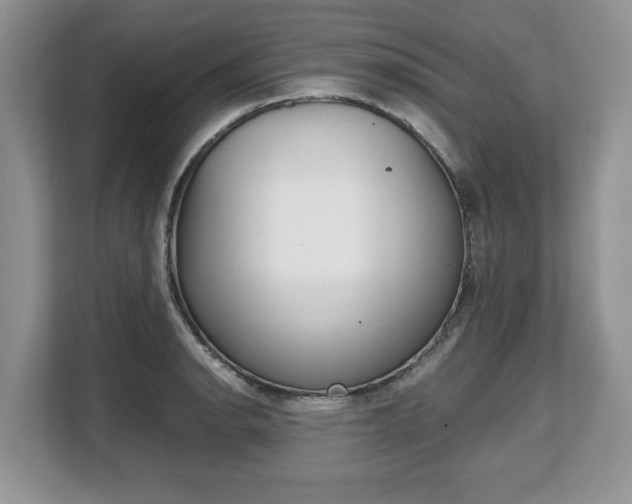 X0000108481134200904031114