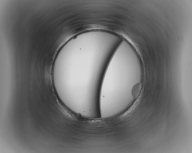 X0000108481137200904031114