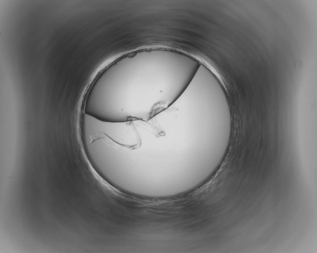 X0000108481143200904031114