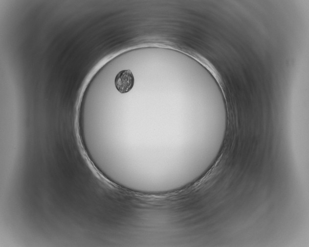 X0000108481144200904031114