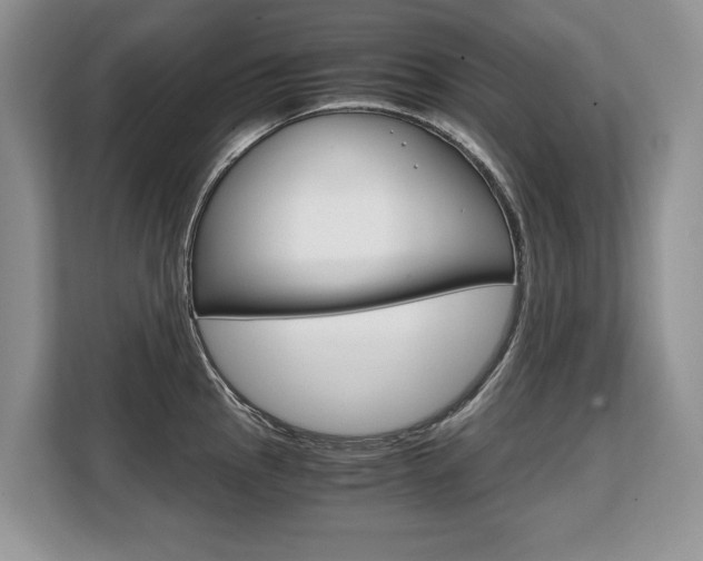 X0000108481145200904031114