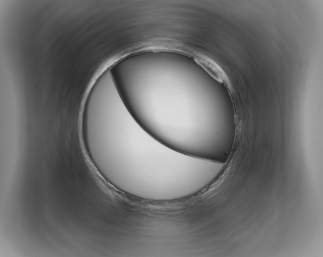 X0000108481146200904031114