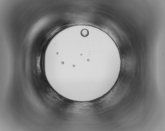 X0000108481150200904031114