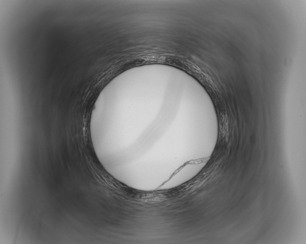 X0000108481154200904031114