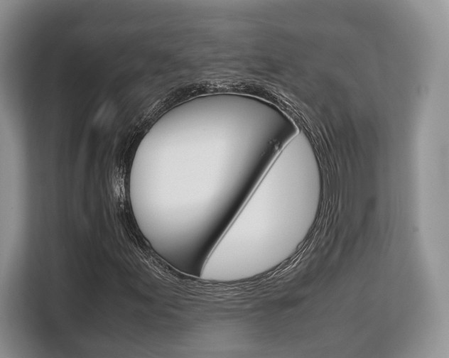 X0000108481155200904031114