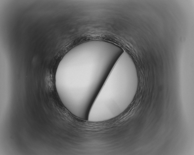 X0000108481156200904031114