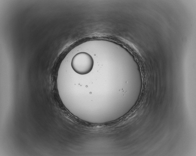 X0000108481160200904031114