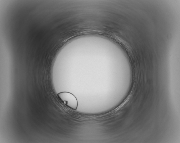 X0000108481161200904031114