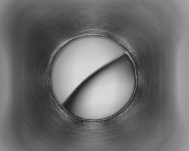 X0000108481164200904031113