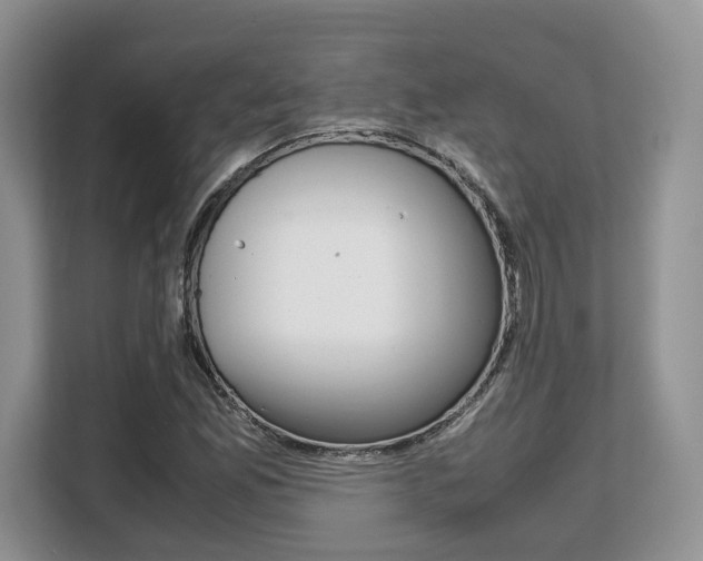 X0000108481165200904031113