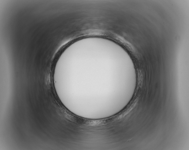 X0000108481166200904031113