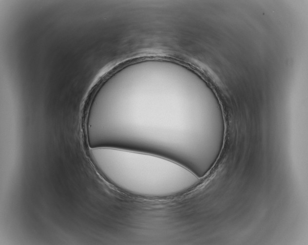 X0000108481168200904031113