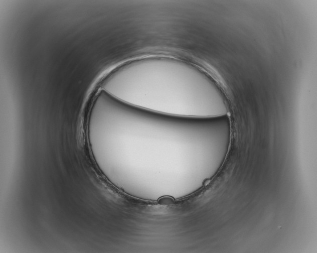 X0000108481172200904031113