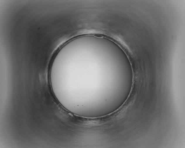 X0000108481173200904031113