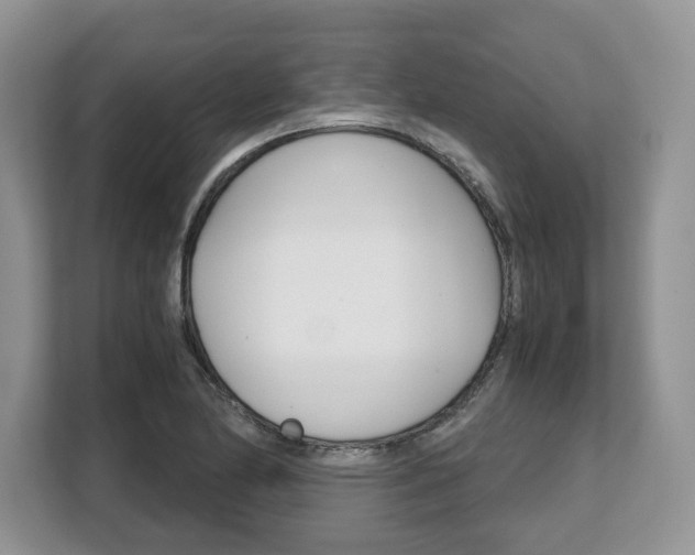 X0000108481174200904031113