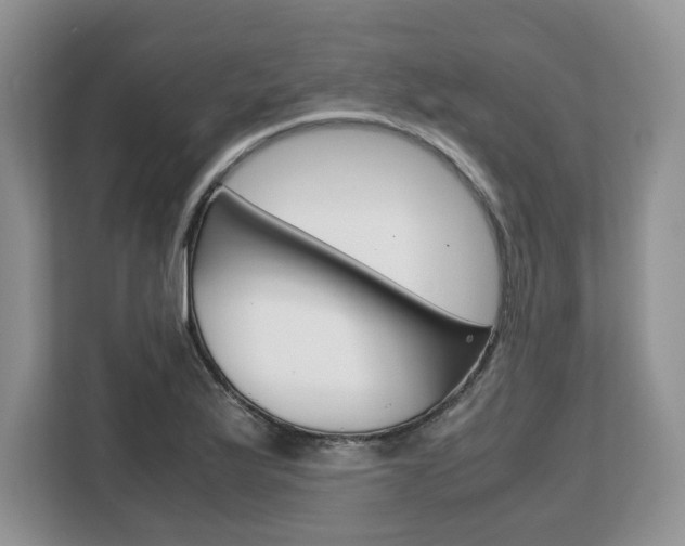X0000108481175200904031113