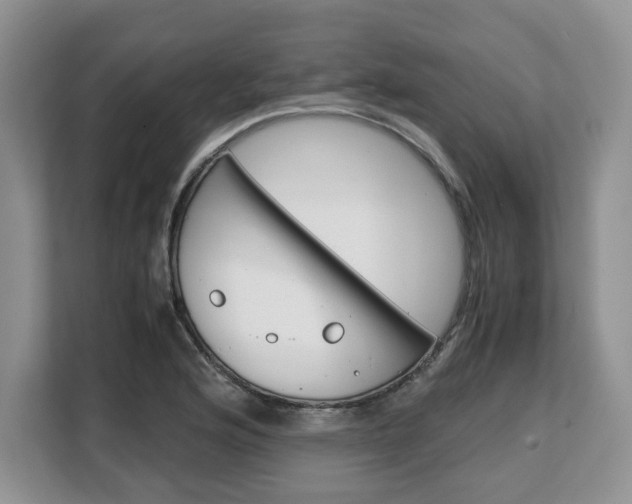 X0000108481176200904031113