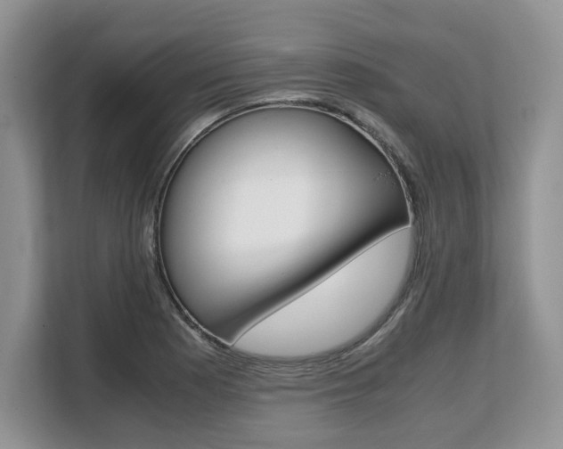 X0000108481177200904031113