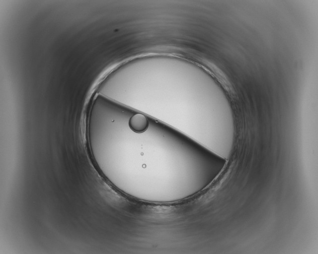 X0000108481180200904031113
