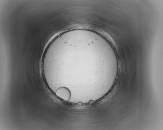 X0000108481182200904031113
