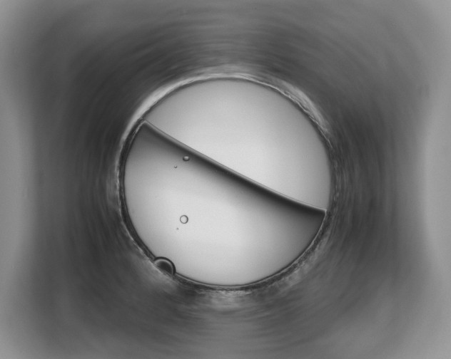 X0000108481184200904031113
