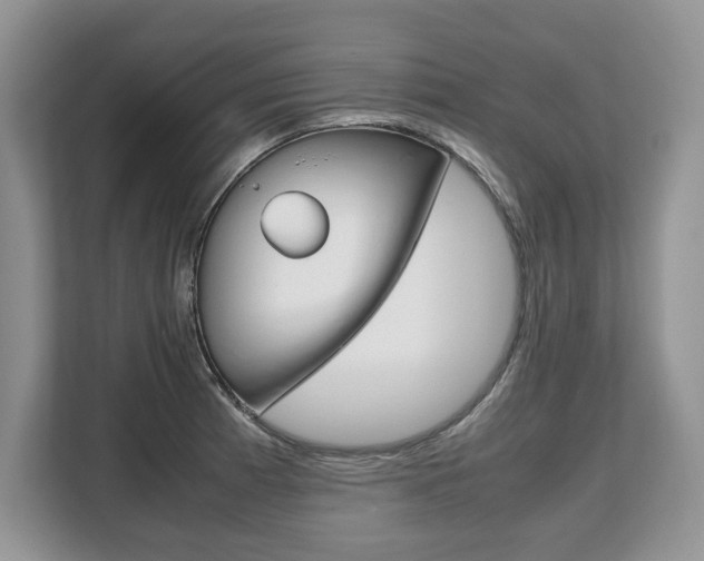 X0000108481185200904031113
