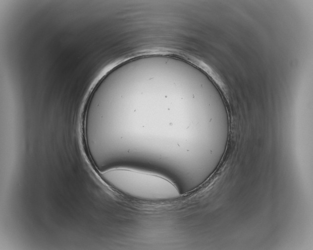 X0000108481187200904031113
