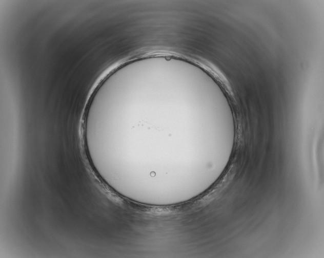 X0000108481190200904031113