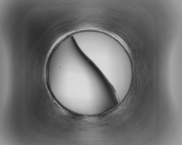 X0000108481191200904031113