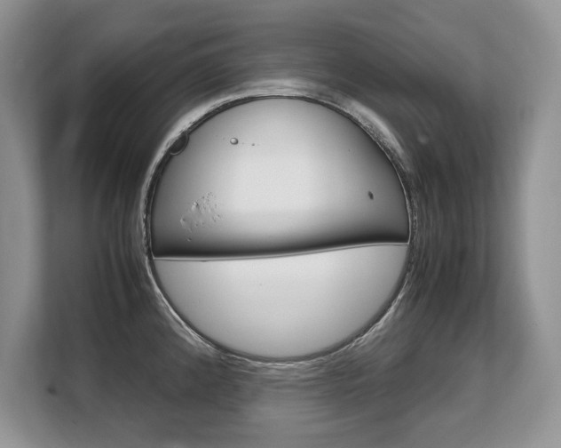 X0000108481192200904031113