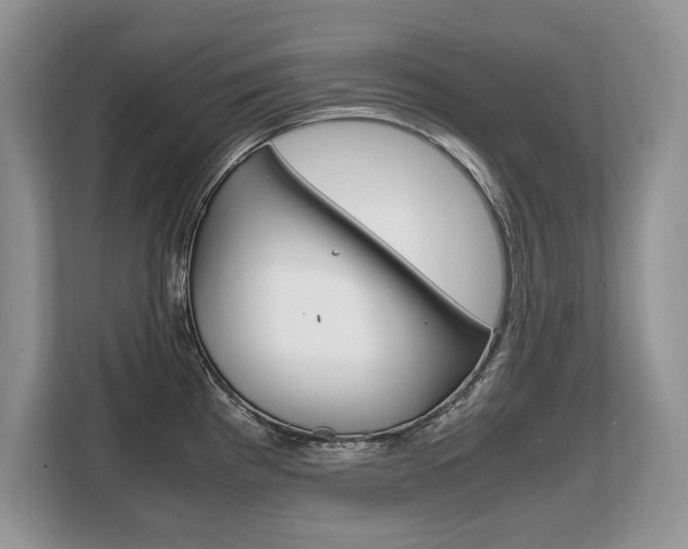 X0000108481193200904031113