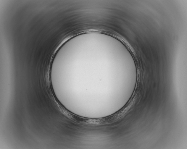X0000108481194200904031113