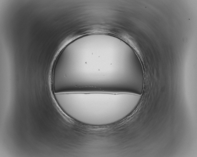 X0000108481195200904031113