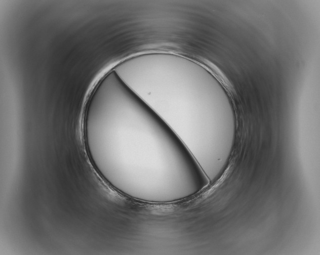 X0000108481196200904031113