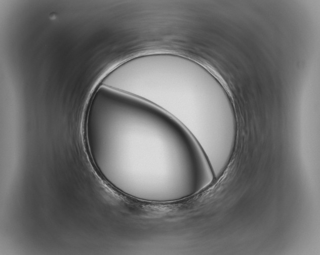 X0000108481197200904031113