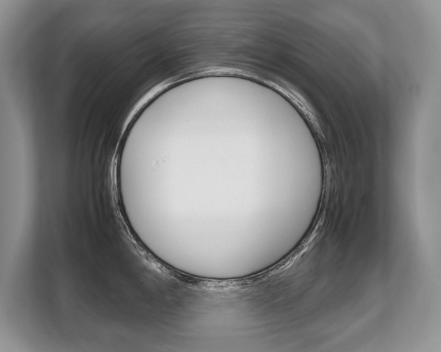 X0000108481198200904031113
