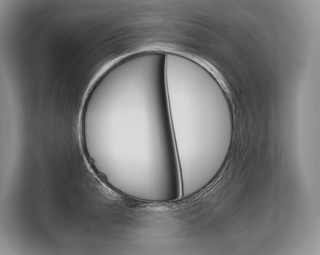 X0000108481199200904031113